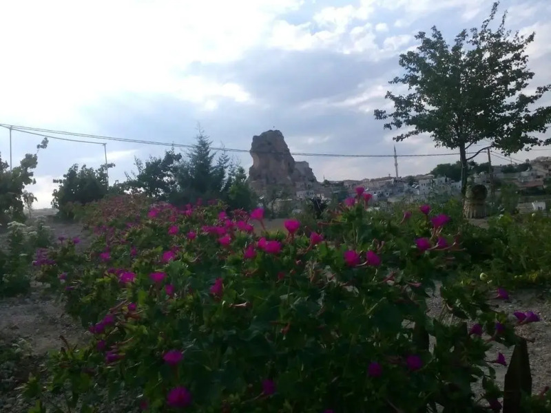 Kapadokya Karşı Bağ Camping