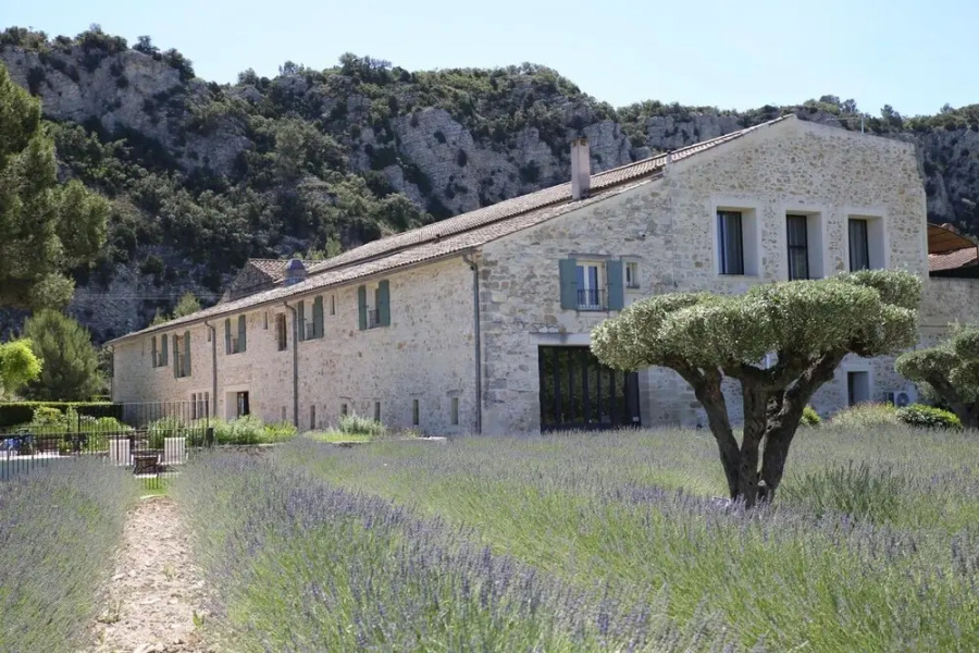 Entre Vigne et Garrigue