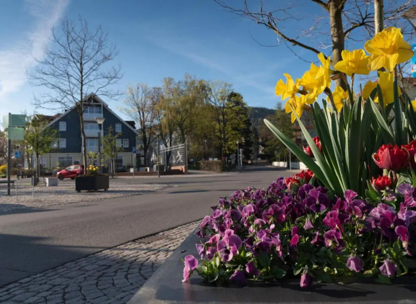 Tom's Ferienappartements Appartment 2