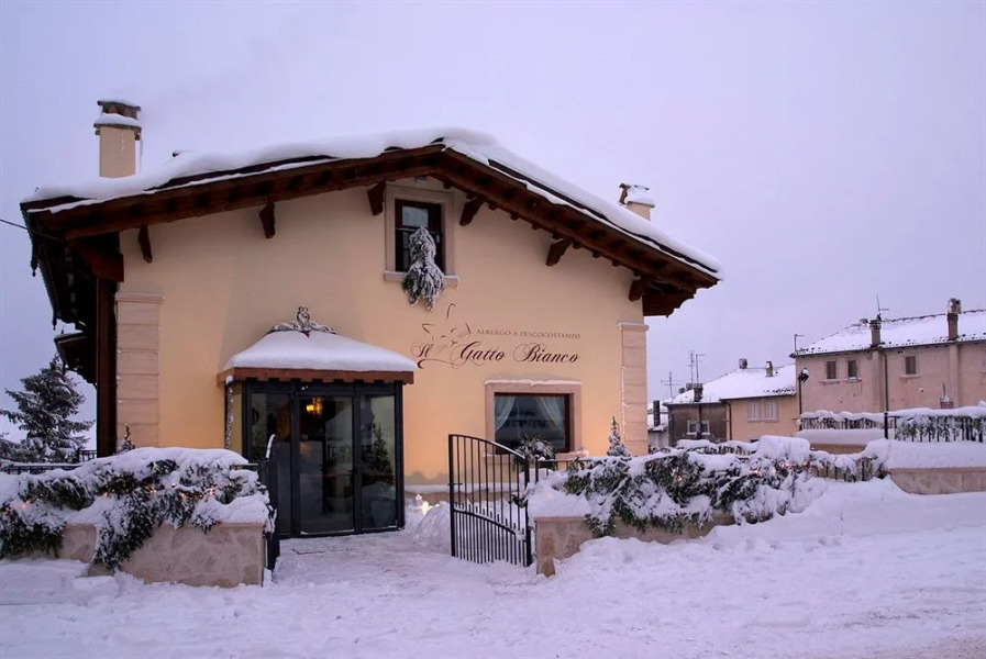 Il Gatto Bianco