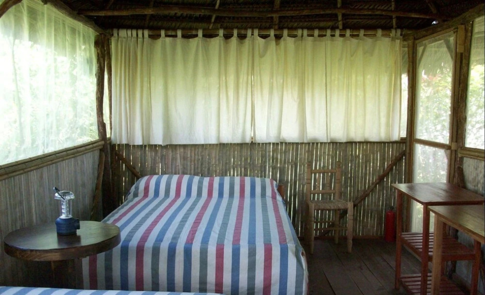 Chanchamayo Cloud Forest San Carlos