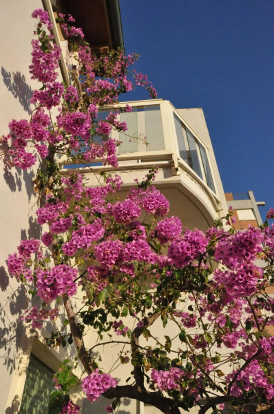 Hotel Santa Costanza