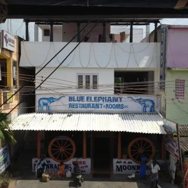 Blue Elephant