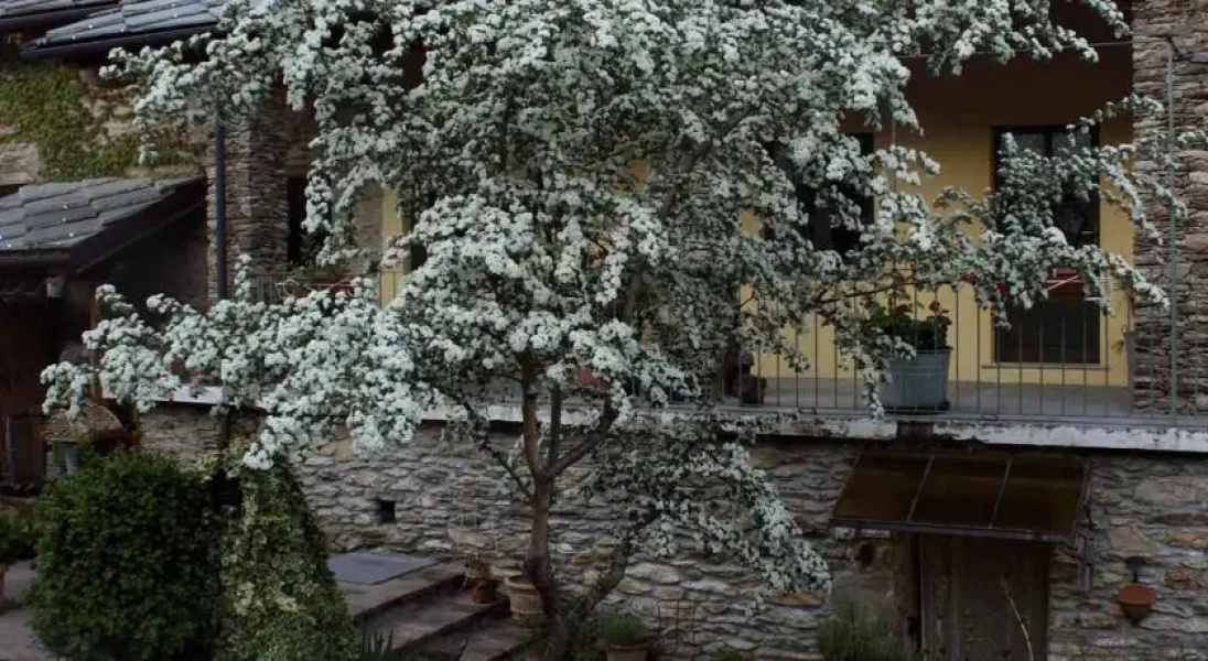 Monterossino B&B