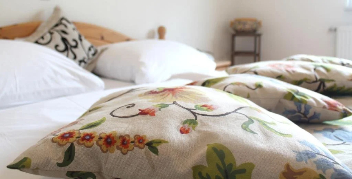 Pension Zum Bunten Hund