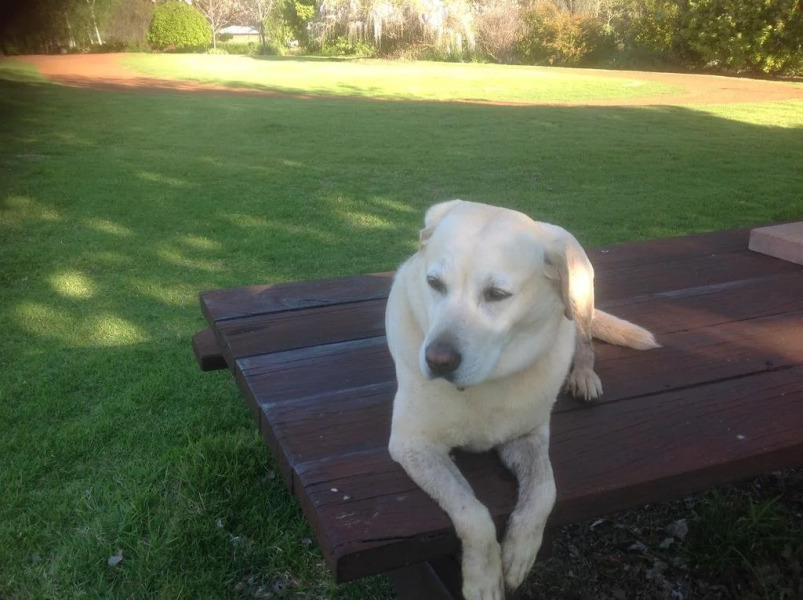 Balingup Jalbrook Cottages
