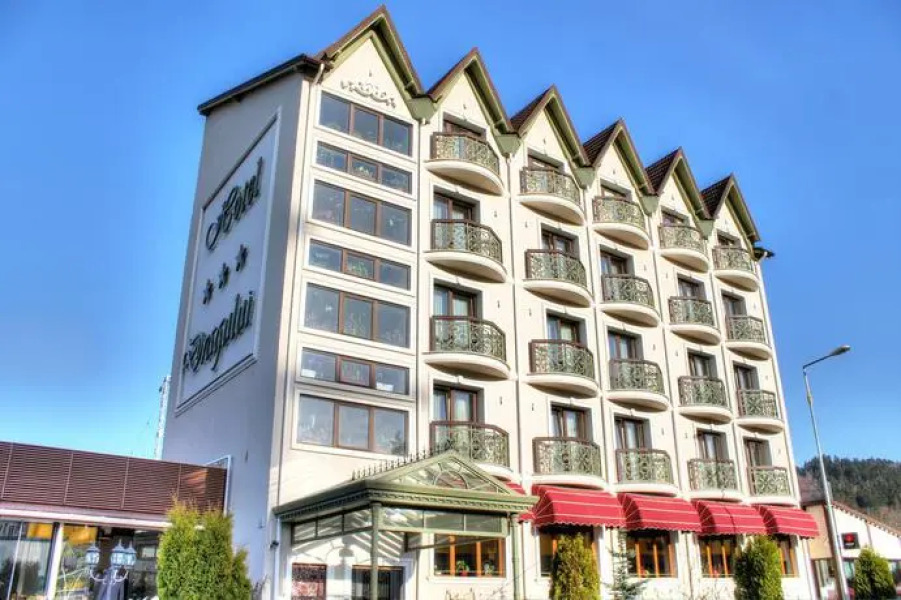 Hotel Dragului