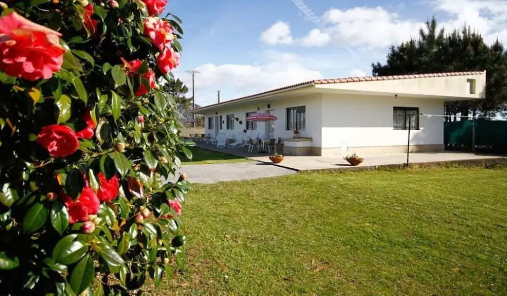 Apartment in Monte Lagoa de Louro 102053 by MO Rentals