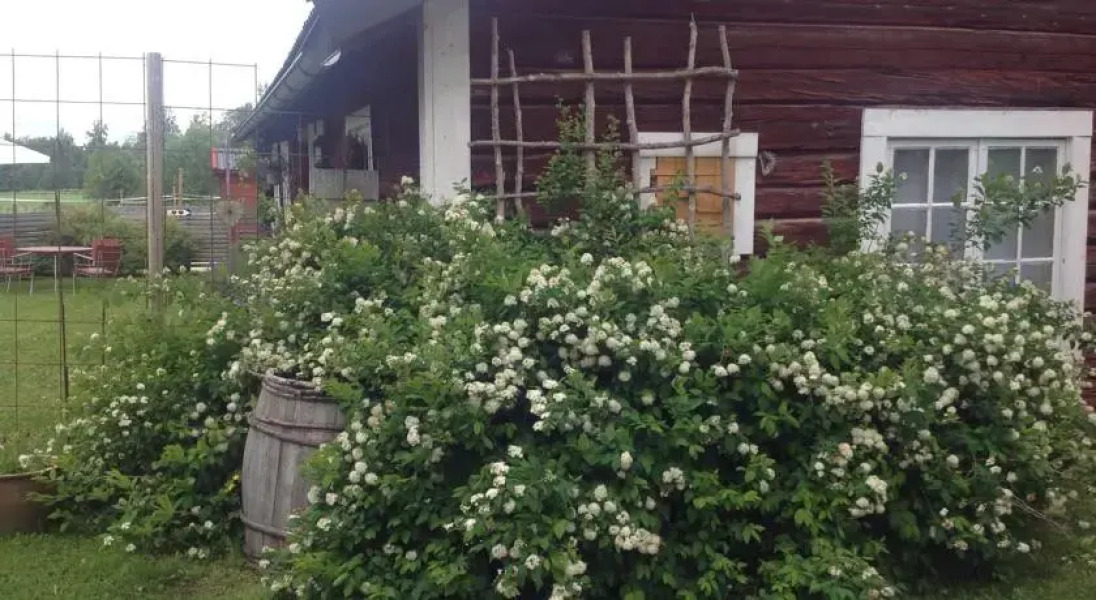 Bed and Breakfast Bryggstun