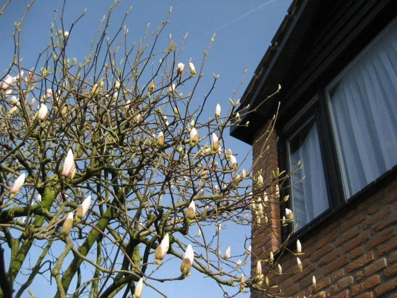 Bed and Breakfast De Mozaiektegel Uden