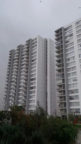 Pacifico Arica El Paso