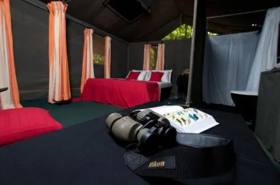 Mahoora Explorer - Dambana by Eco Team