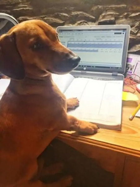 Woody's Cosy Winter Glamping