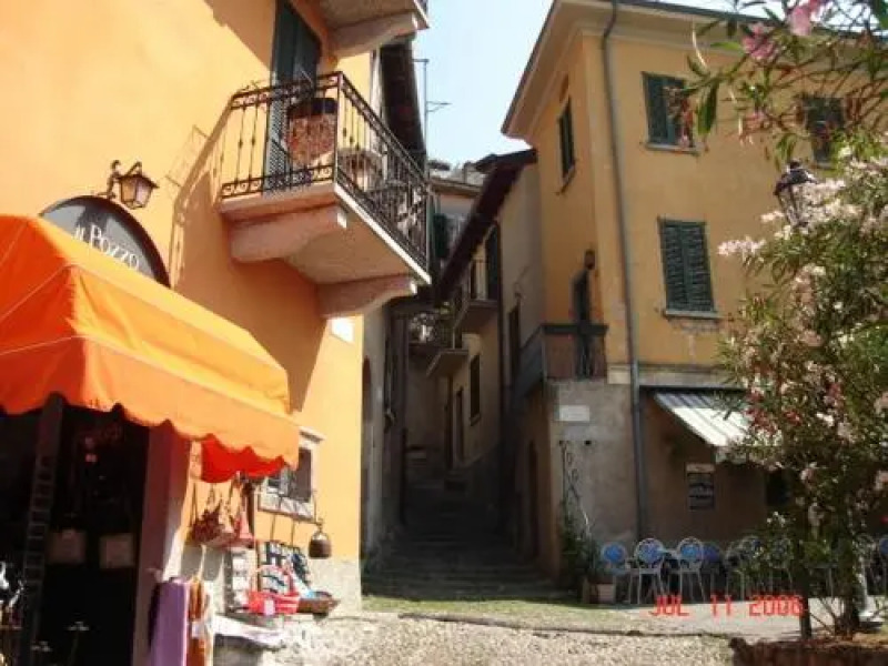 Riva Bellano Camelia