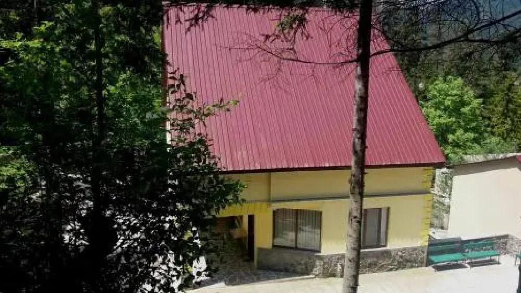 Guest House Borjomi Forest