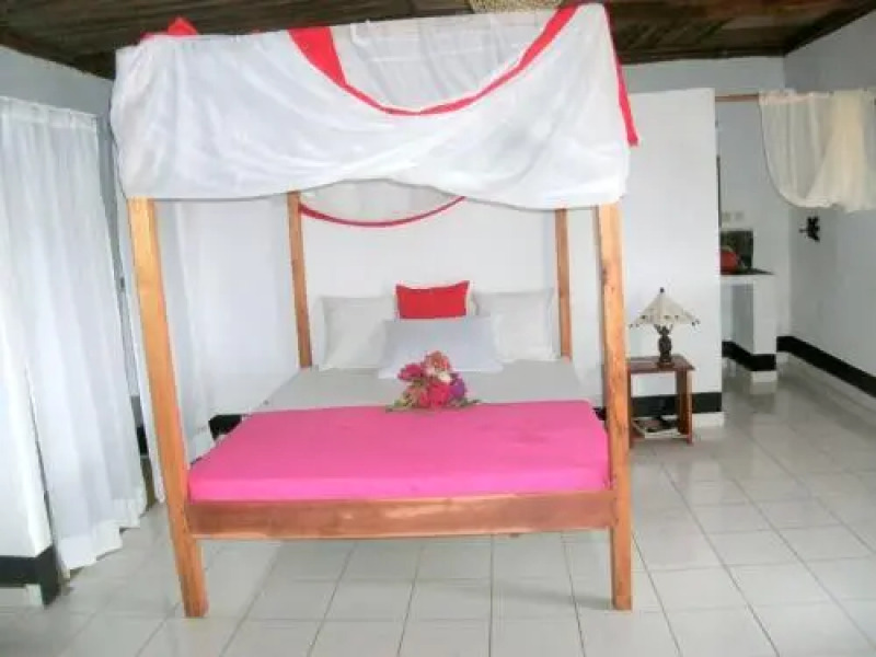 Les Dauphins De Nosy Be