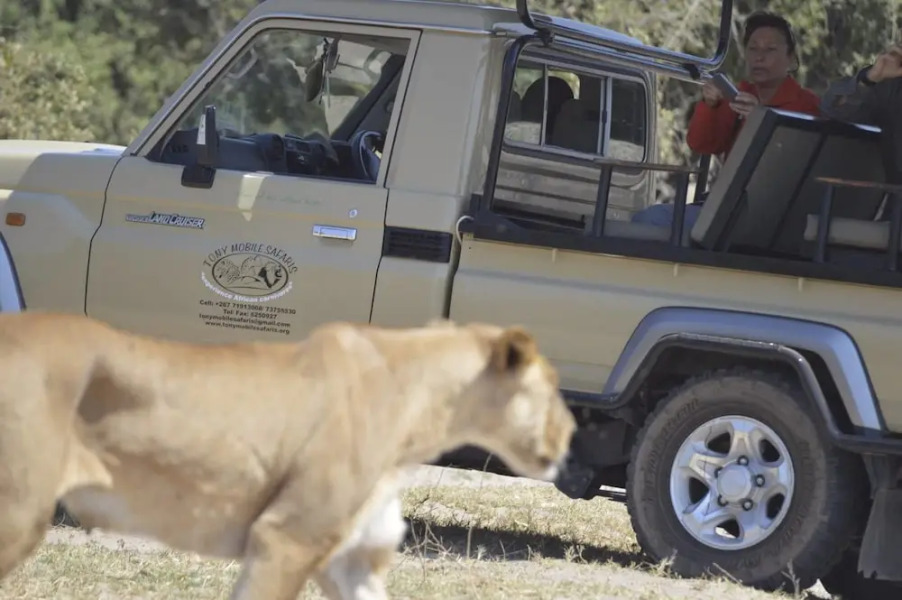 Xakanaka Mobile Camp