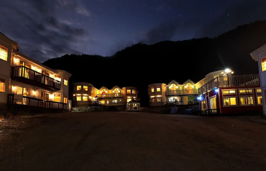 Castle in the Forest