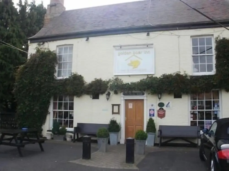 The Golden Boar
