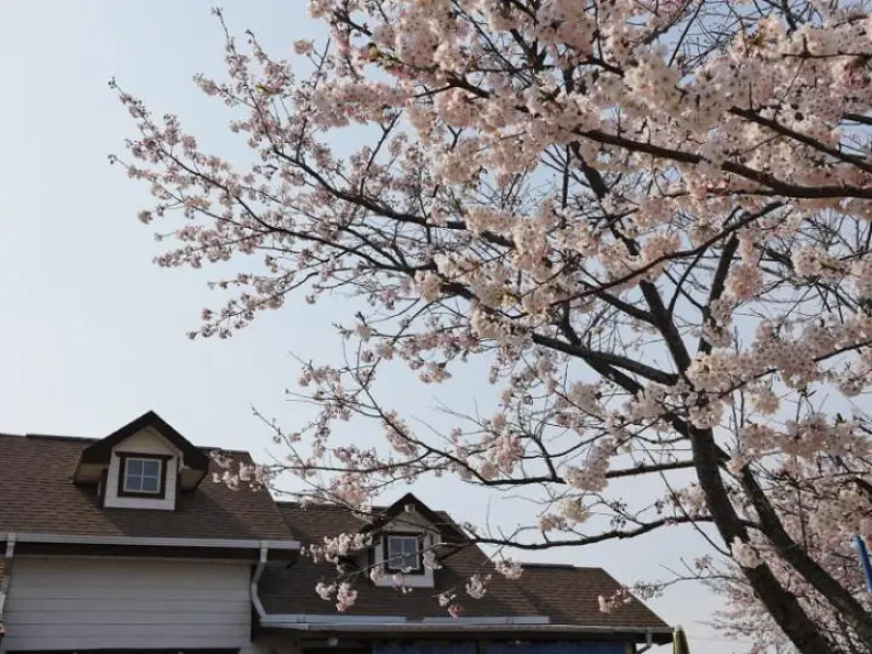 Badahyangkiae aegyun pension