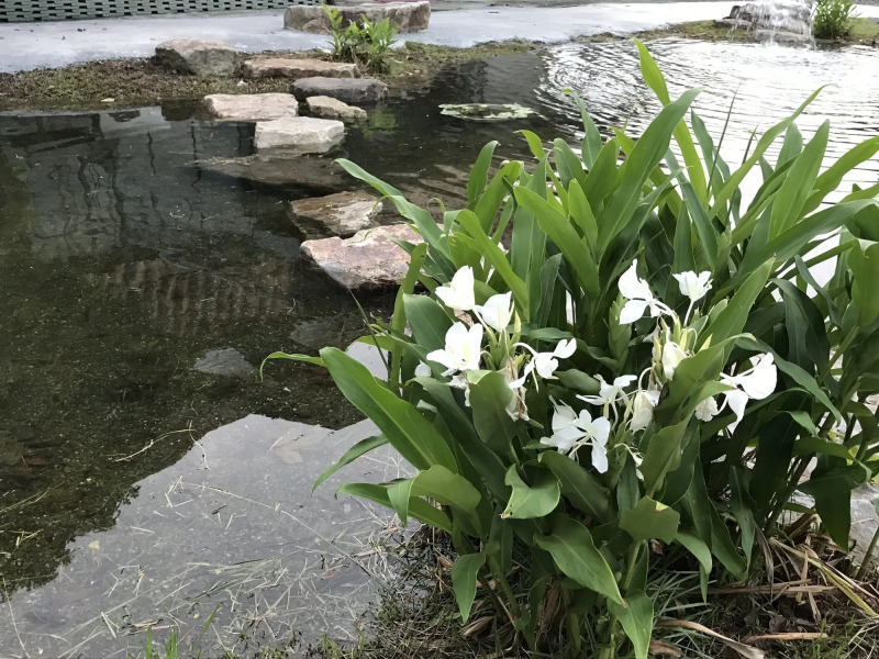 The Tiles Garden B&B