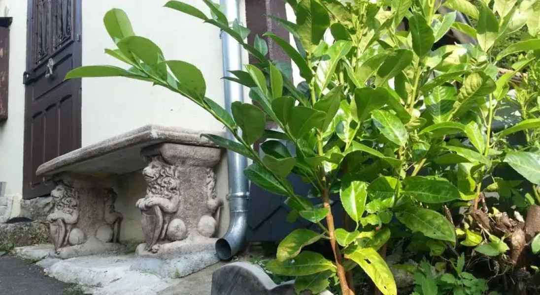 Chez le Coeur de Lion