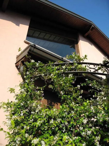 Villa Campo dei Fiori