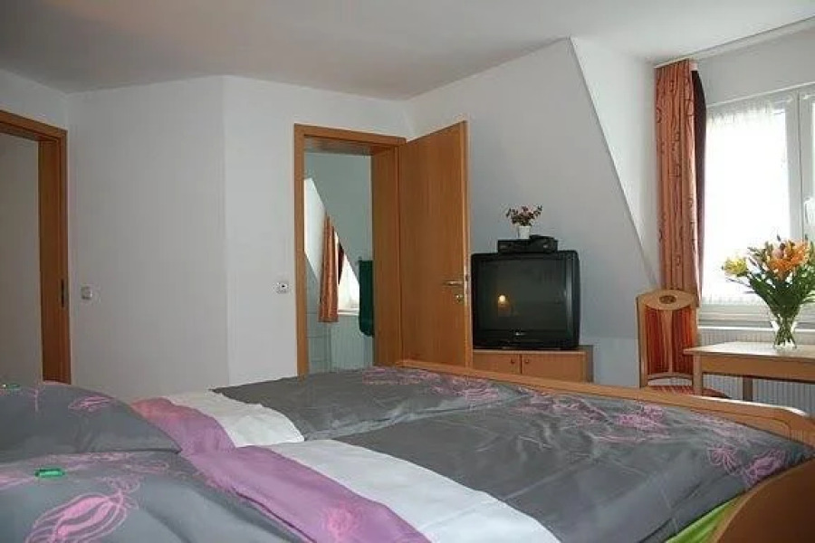 Hotel Zum grünen Baum