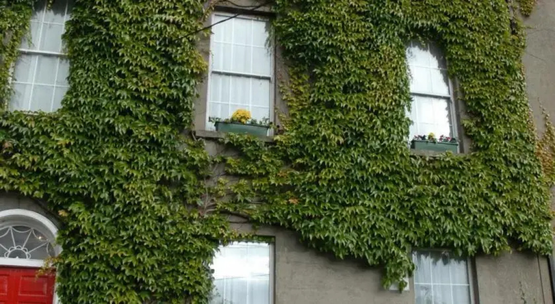 Brighton House Guesthouse (Ireland)