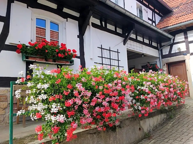 Chambres D'hotes Sabine Billmann