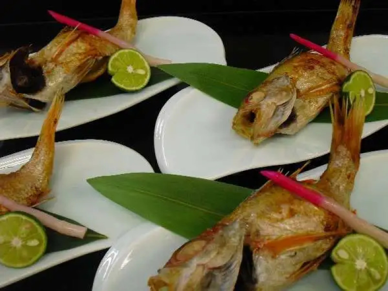 Ryori Ryokan Kanetomo