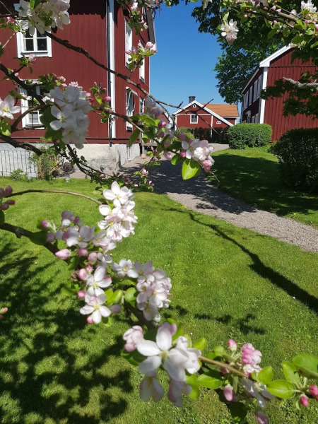 Tjällmo Gästgifvaregård