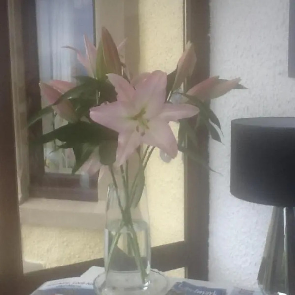 "Stunning Sea-Views" at Wetherby Nairn