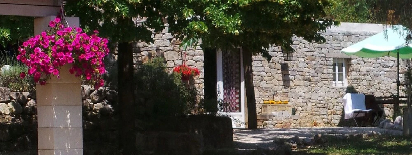 The Lotus Tree Guesthouse