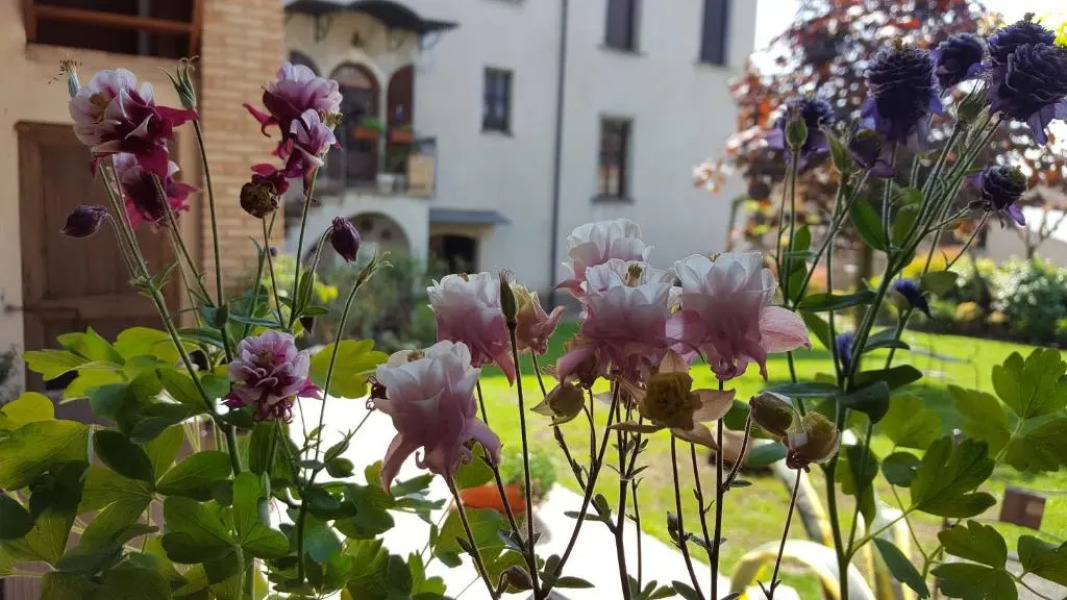 B&B Le Quattro Stagioni