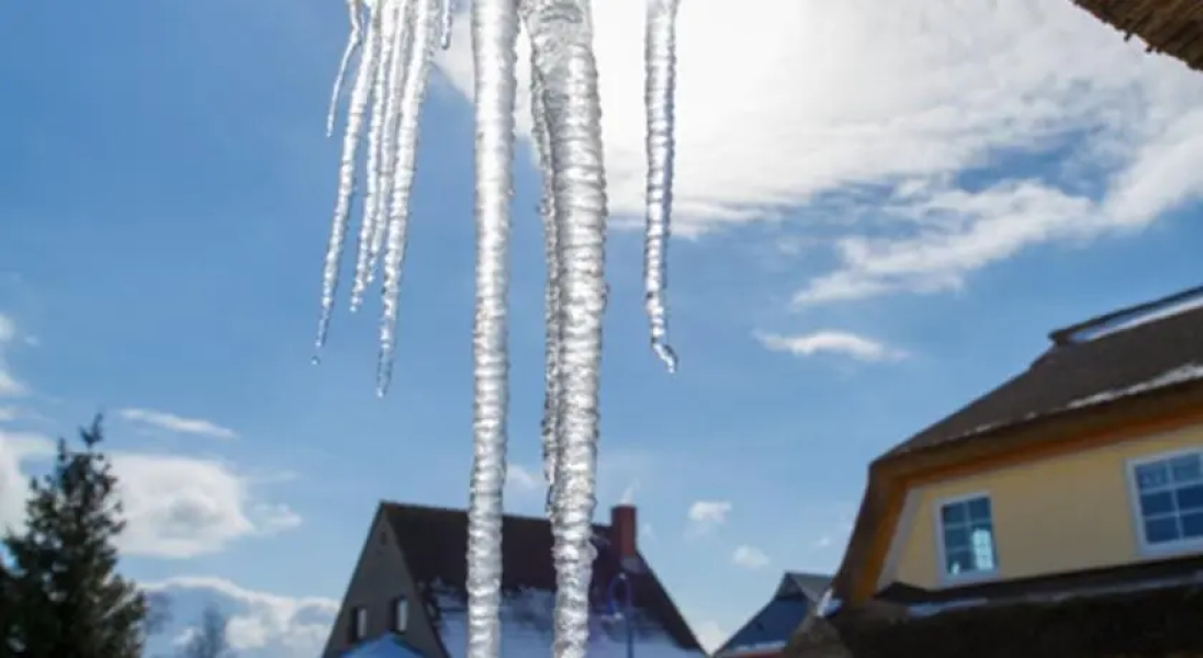 Reethaus Boddenblick - Apt. 12