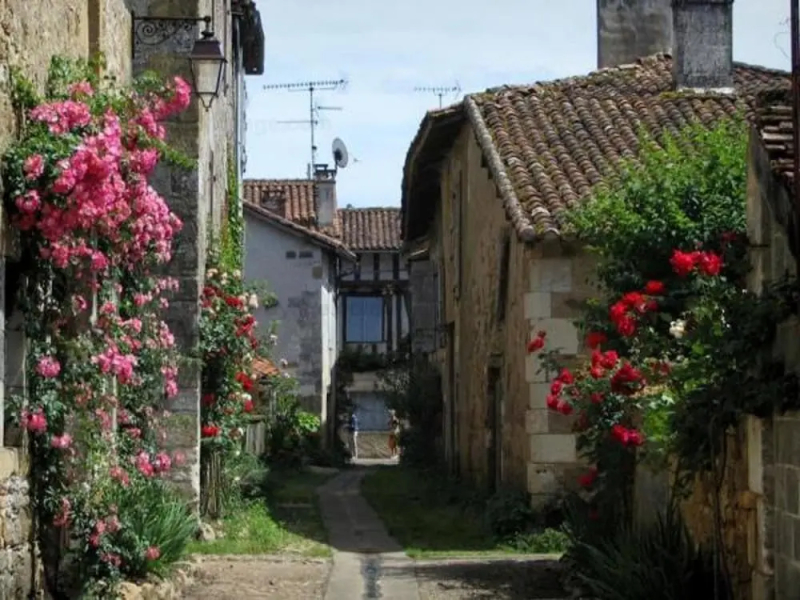 Apartment With one Bedroom in Jumilhac-le-grand, With Wonderful City View, Enclosed Garden and Wifi