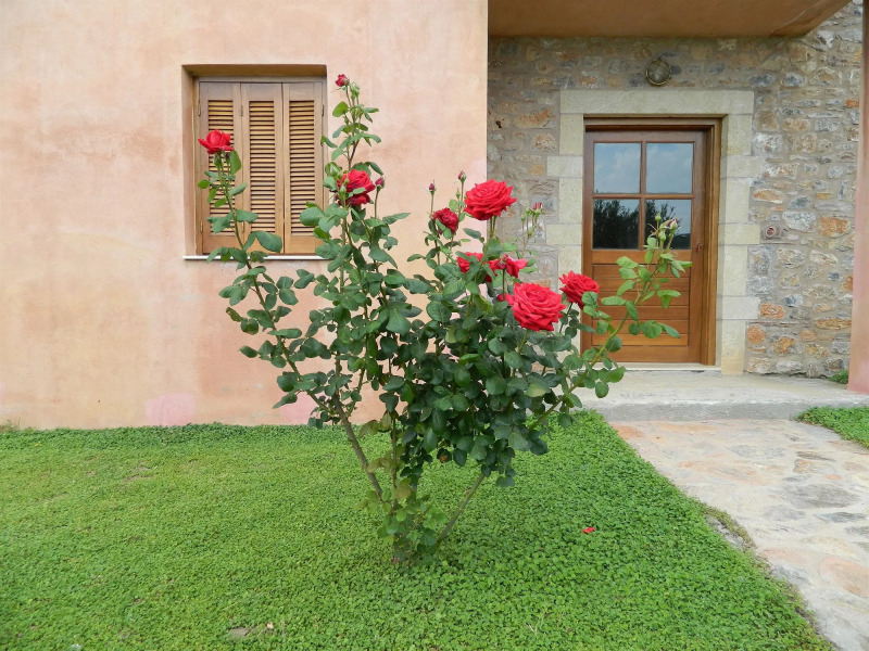 Liotrivi Historical Mansion & Boutique Hotel