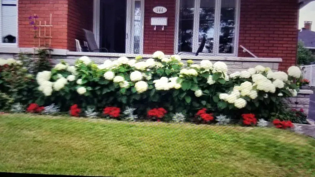 Gite du Passant Rosedort