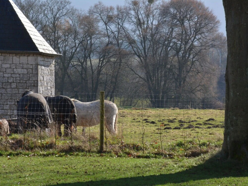 Wonderfully Furnished Cottage, Very Comfortable, Small Village Near Namur