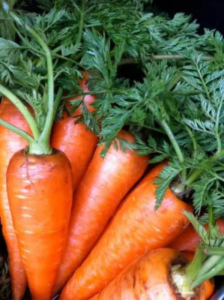 Guesthouse&Cafe Usukiya