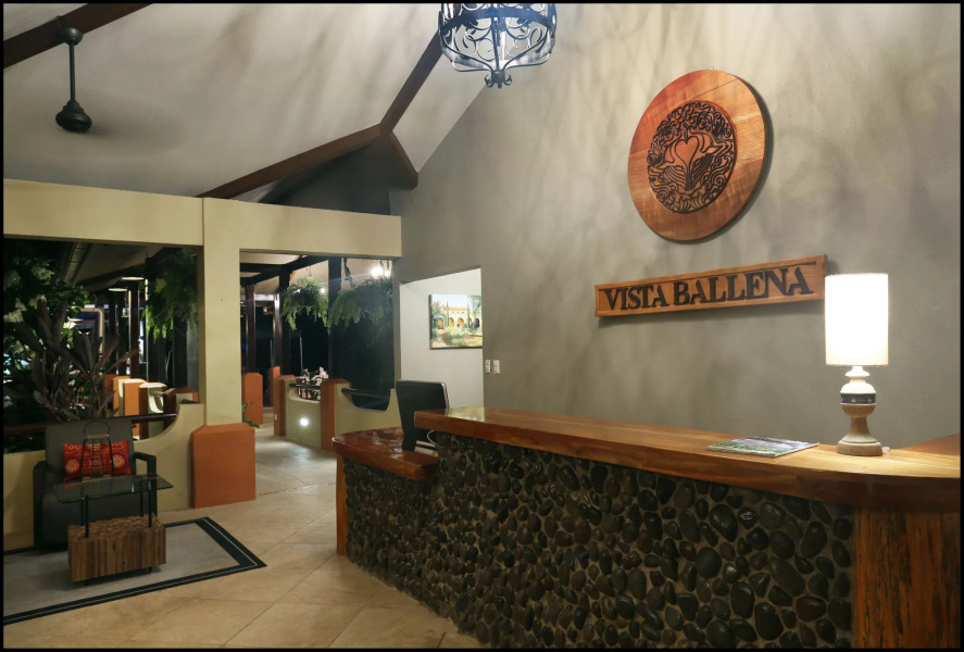 Vista Ballena