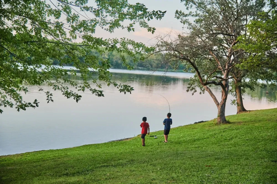 O'Connell's Yogi Bear Park