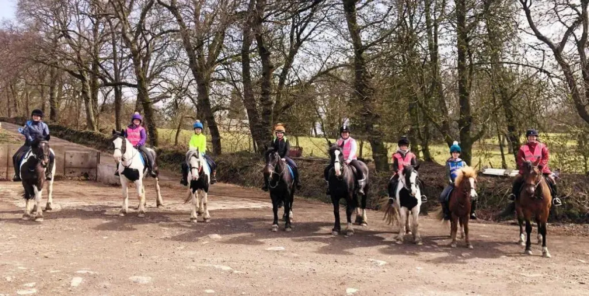 Wellsfield Farm Holiday Lodges