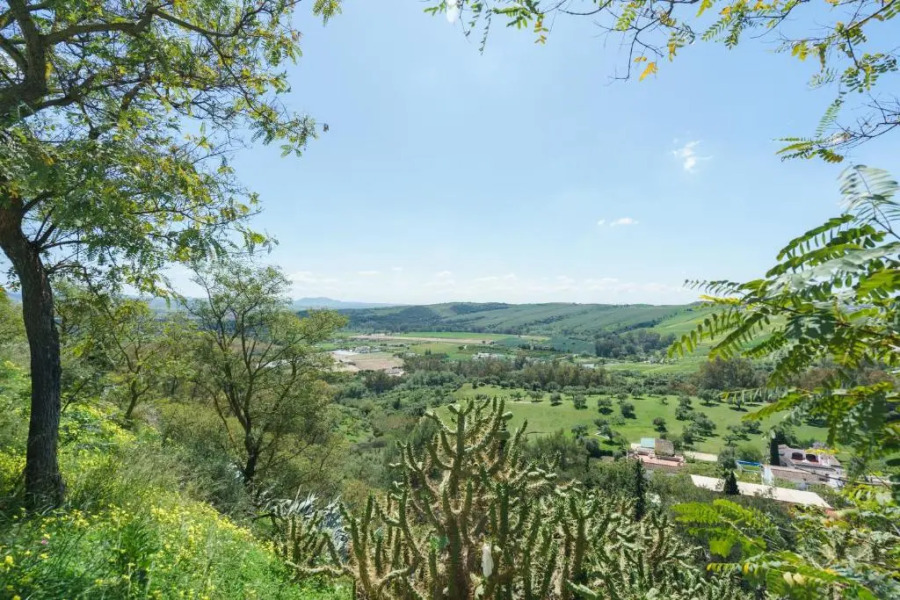 Hotel Marqués de Torresoto by Vivere Stays
