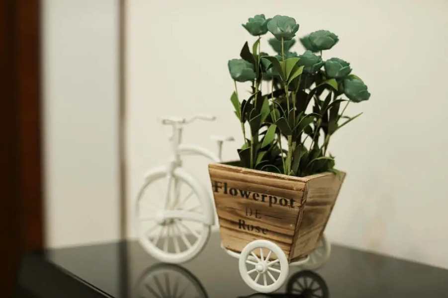 White Sand Bay Homestay