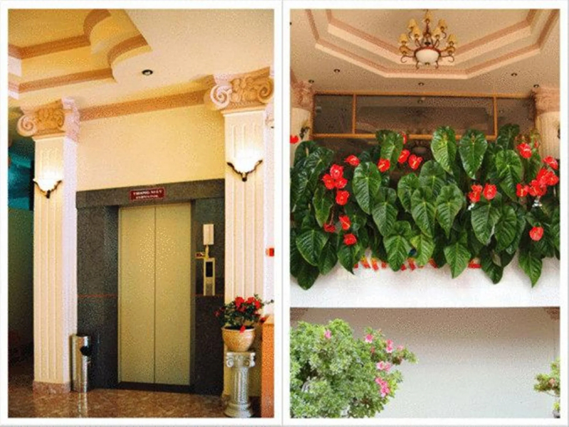 Dragon King 1 Hotel Da Lat