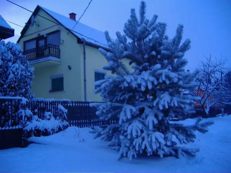 Elizabeth Vendégház