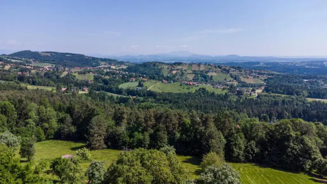 Weinstöckl Hochgrail pures sein