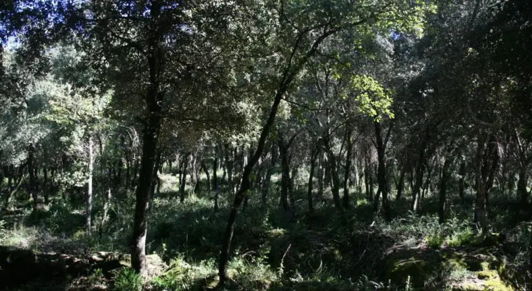 El Vilar i el Portet